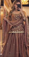 Radiant Elegance Capturing Moments in a Brown Lehenga
