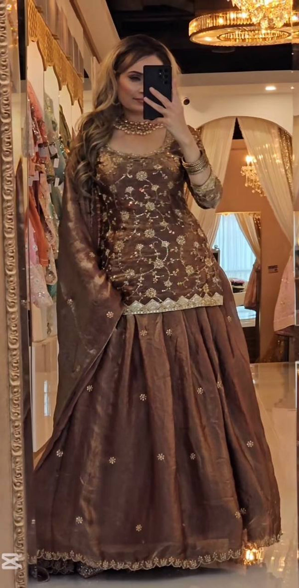 Radiant Elegance Capturing Moments in a Brown Lehenga