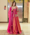 Luxurious Ethnic Lengha Suit Set with Exquisite Embroidery Work